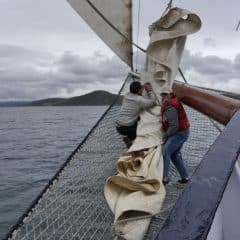 Whisky tour Scotland-Hebrides